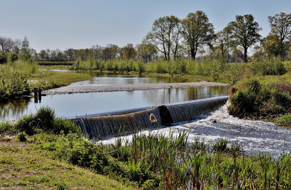 Canal Work